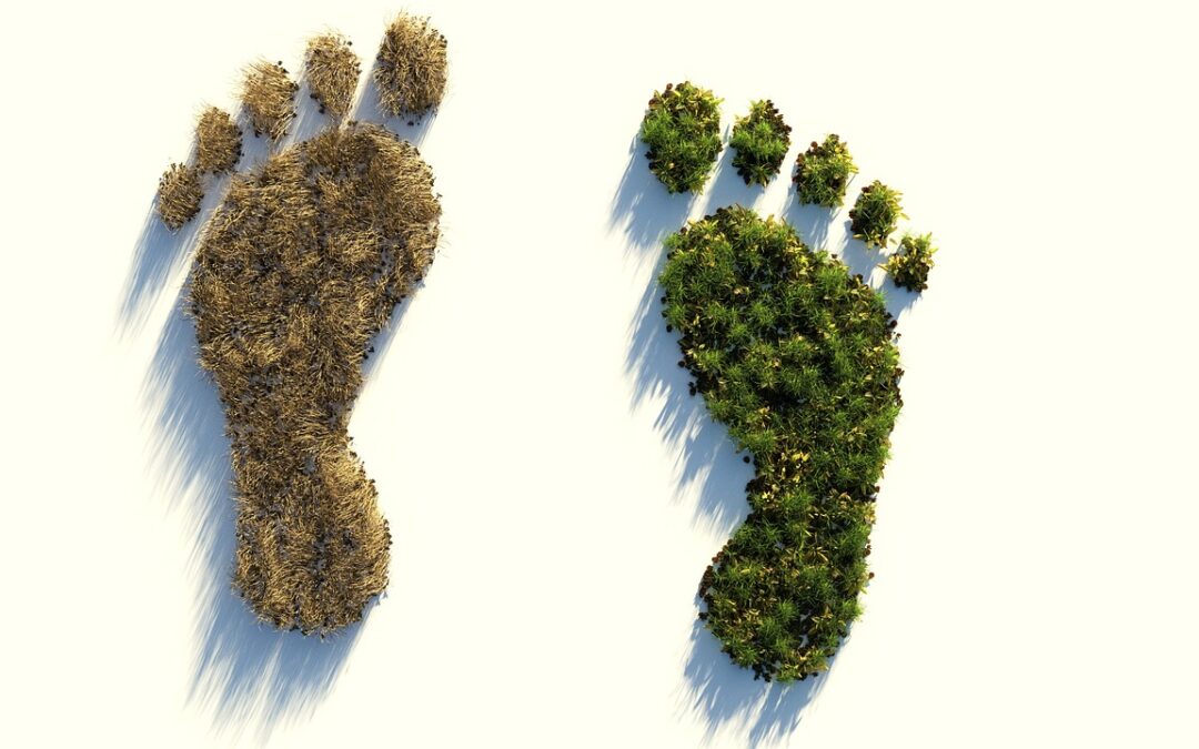 Ökológiai lábnyom – Gyakran emlegetjük, de valójában mit is jelent?